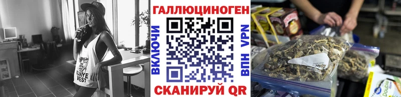 Псилоцибиновые грибы мицелий Нерюнгри