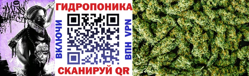 Бошки марихуана VHQ Нерюнгри
